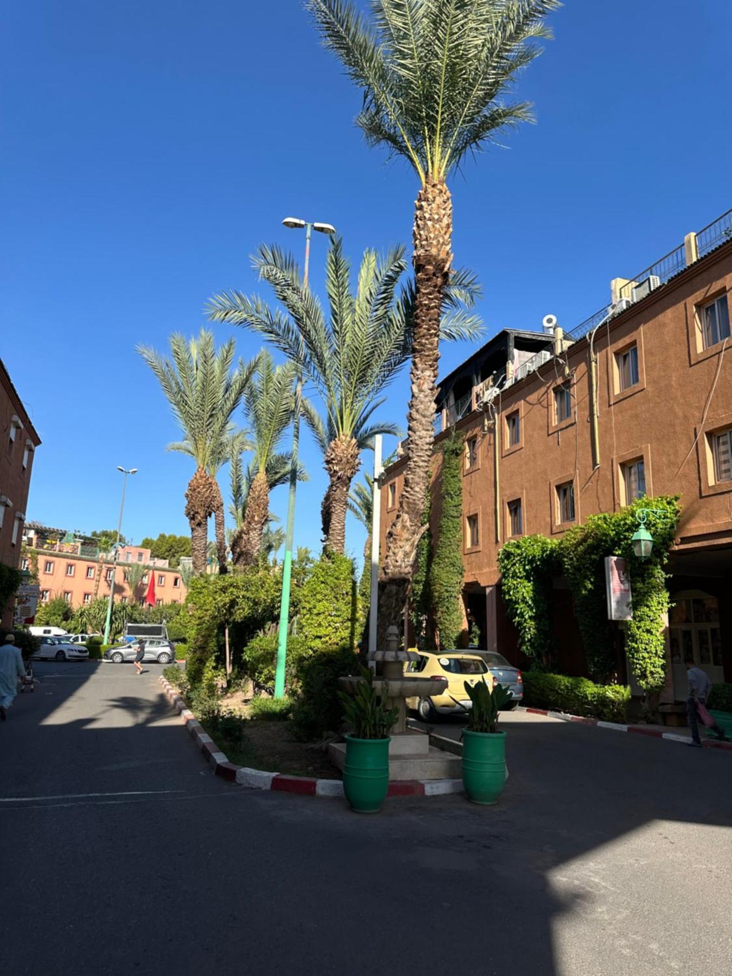 Riad Majestic Marrakech مراكش المظهر الخارجي الصورة