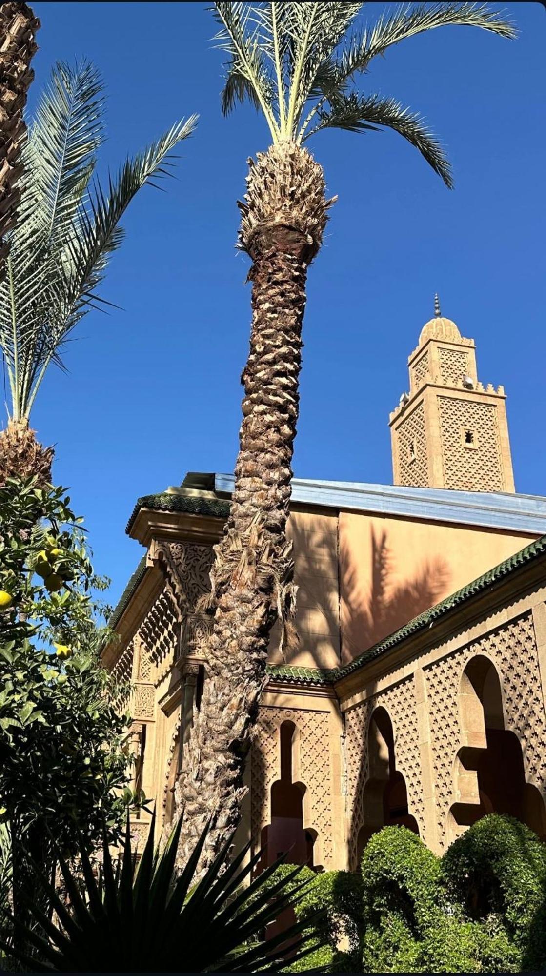 Riad Majestic Marrakech مراكش المظهر الخارجي الصورة